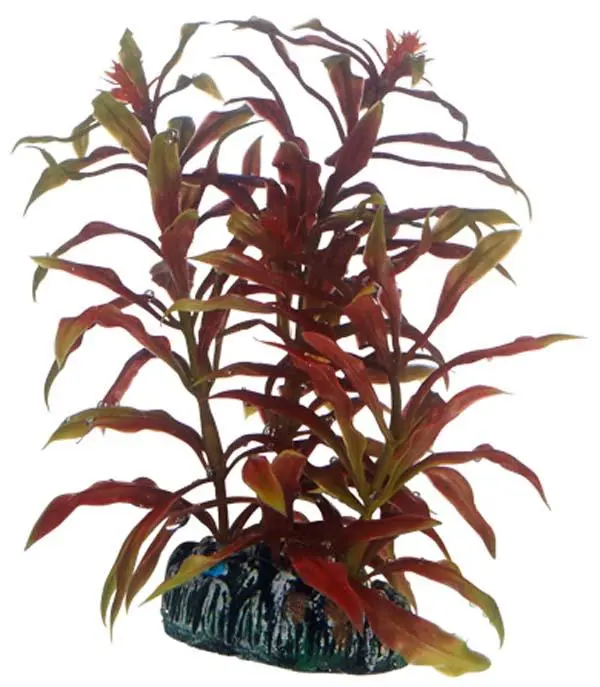 Hobby Nesaea 13 cm